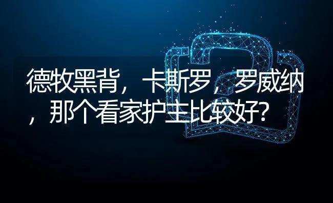 德牧黑背，卡斯罗，罗威纳，那个看家护主比较好？ | 动物养殖问答