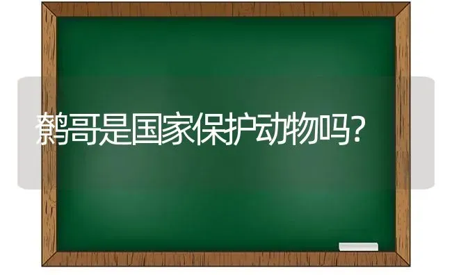 有人知道猫一胎生几只猫吗？ | 动物养殖问答