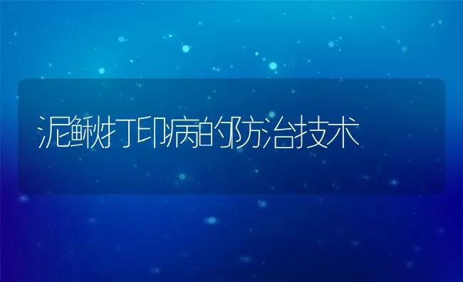 泥鳅打印病的防治技术 | 水产养殖知识