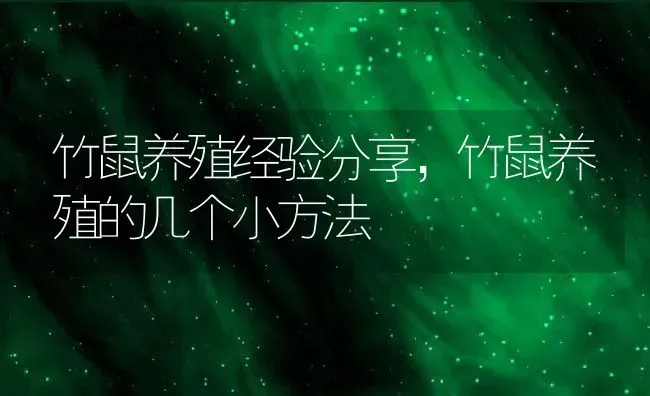 竹鼠养殖经验分享，竹鼠养殖的几个小方法 | 动物养殖百科
