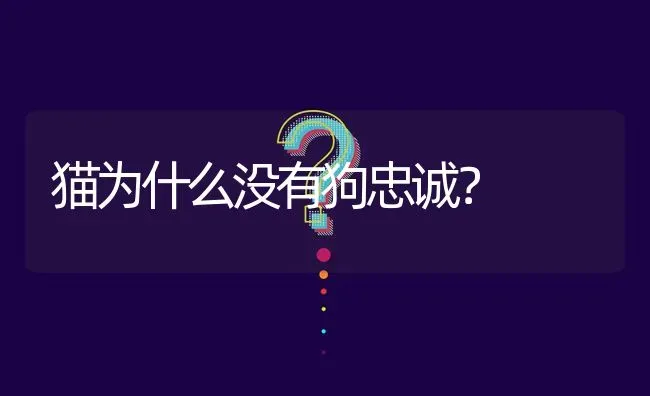 猫为什么没有狗忠诚？ | 动物养殖问答