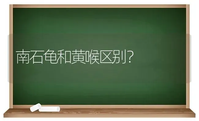 南石龟和黄喉区别？ | 动物养殖问答