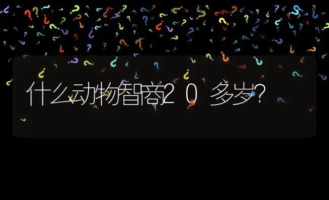 什么动物智商20多岁？ | 动物养殖问答