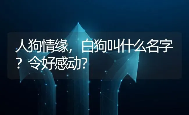 人狗情缘，白狗叫什么名字？令好感动？ | 动物养殖问答