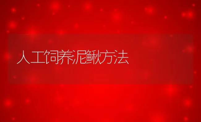 人工饲养泥鳅方法 | 水产养殖知识