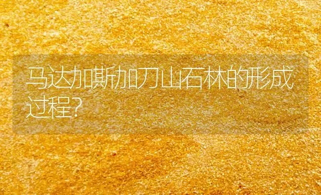 马达加斯加刀山石林的形成过程？ | 动物养殖问答