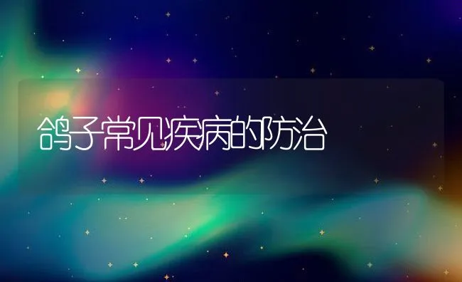 鸽子常见疾病的防治 | 水产养殖知识