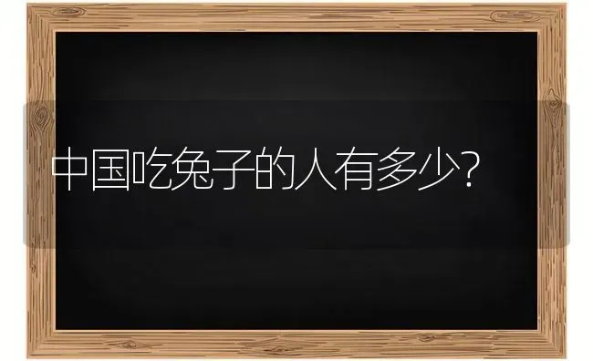 中国吃兔子的人有多少？ | 动物养殖问答