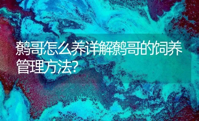 鹩哥怎么养详解鹩哥的饲养管理方法？ | 动物养殖问答