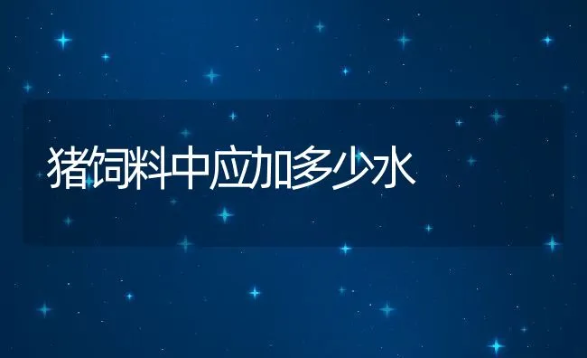 猪饲料中应加多少水 | 动物养殖饲料