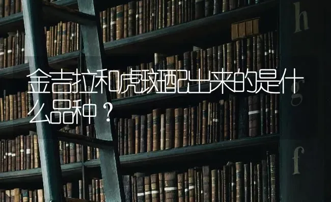 以弱制强的动物有哪些？ | 动物养殖问答