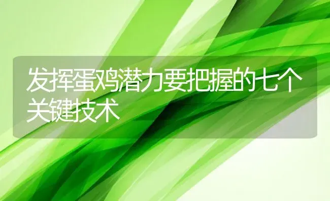 发挥蛋鸡潜力要把握的七个关键技术 | 动物养殖教程