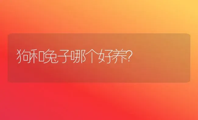 狗和兔子哪个好养？ | 动物养殖问答