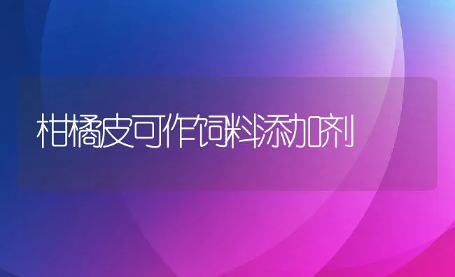 柑橘皮可作饲料添加剂 | 动物养殖饲料