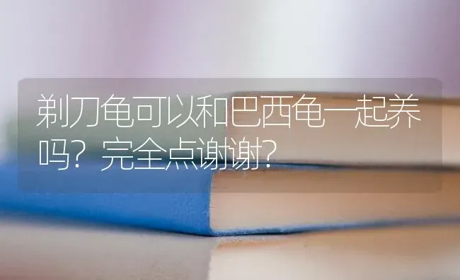 有异瞳的田园猫脾气好不好？ | 动物养殖问答