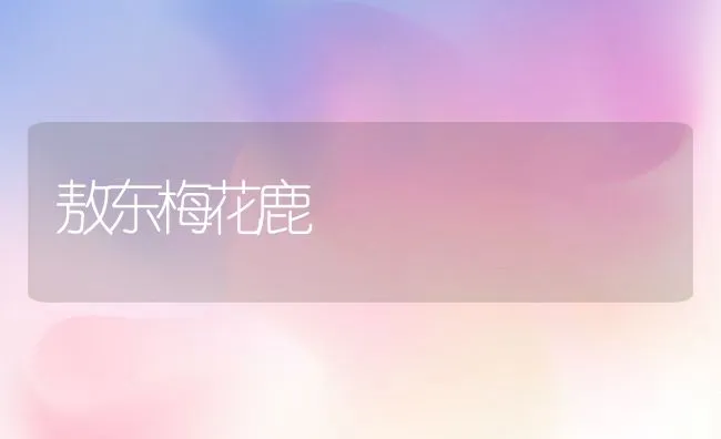 敖东梅花鹿 | 水产养殖知识