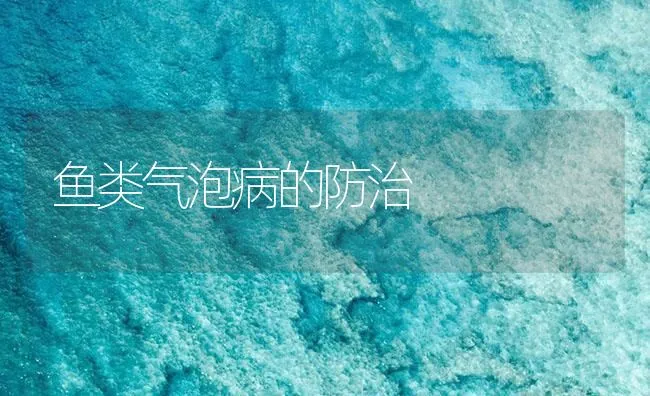 鱼类气泡病的防治 | 海水养殖技术