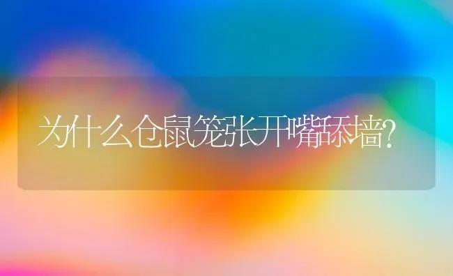 为什么仓鼠笼张开嘴舔墙？ | 动物养殖问答