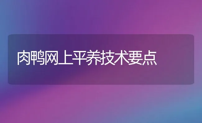 肉鸭网上平养技术要点 | 动物养殖饲料