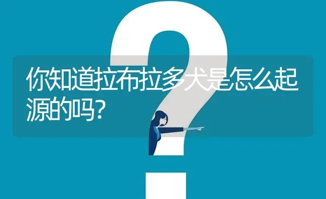 你知道拉布拉多犬是怎么起源的吗？ | 动物养殖问答