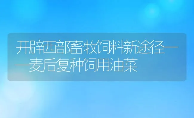 开辟西部畜牧饲料新途径——麦后复种饲用油菜 | 动物养殖饲料