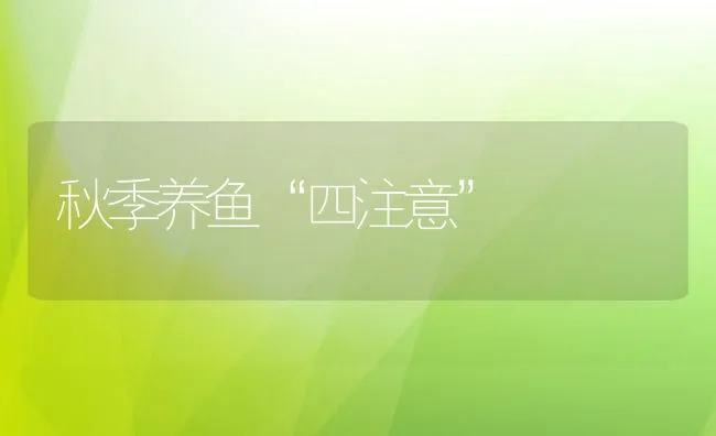 秋季养鱼“四注意” | 动物养殖饲料