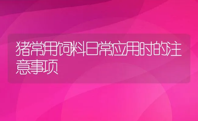 猪常用饲料日常应用时的注意事项 | 动物养殖饲料