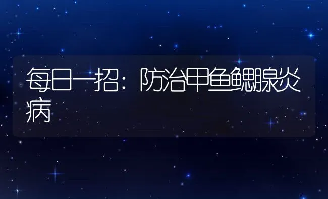 每日一招：防治甲鱼鳃腺炎病 | 水产养殖知识