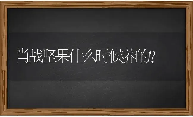 肖战坚果什么时候养的？ | 动物养殖问答