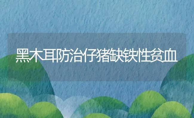 黑木耳防治仔猪缺铁性贫血 | 动物养殖学堂