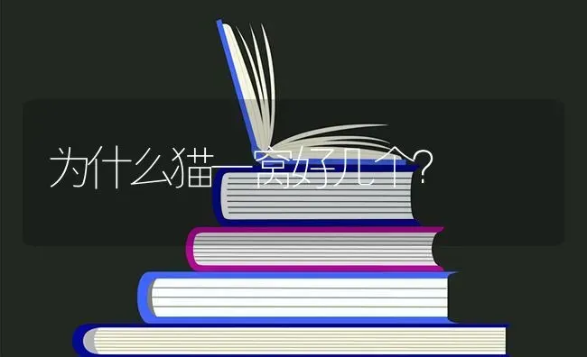 为什么猫一窝好几个？ | 动物养殖问答