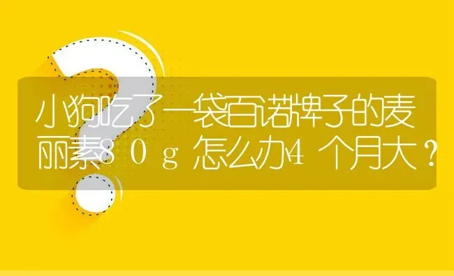 小狗吃了一袋百诺牌子的麦丽素80g怎么办4个月大？ | 动物养殖问答