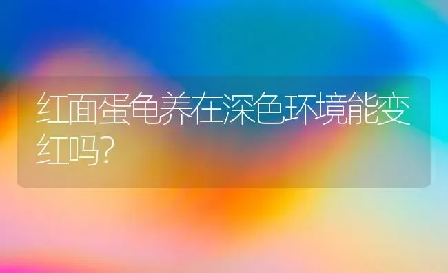 什么样的狗不爱叫而且还听指挥？ | 动物养殖问答