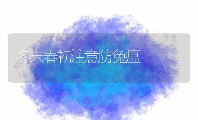 冬末春初注意防兔瘟 | 动物养殖学堂