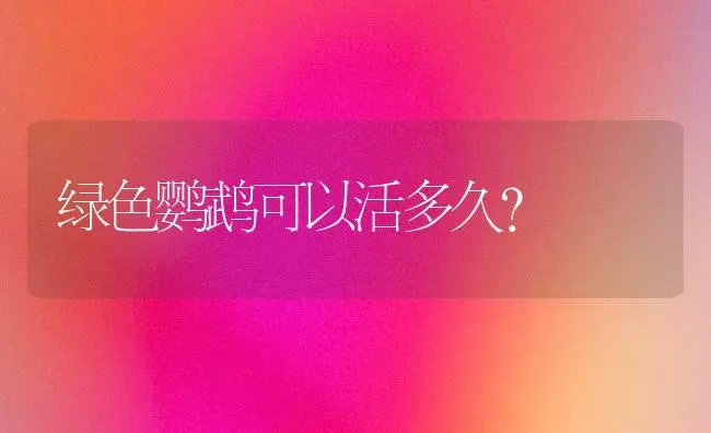 绿色鹦鹉可以活多久？ | 动物养殖问答