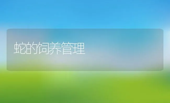 蛇的饲养管理 | 动物养殖学堂