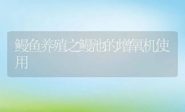 鳗鱼养殖之鳗池的增氧机使用 | 动物养殖饲料