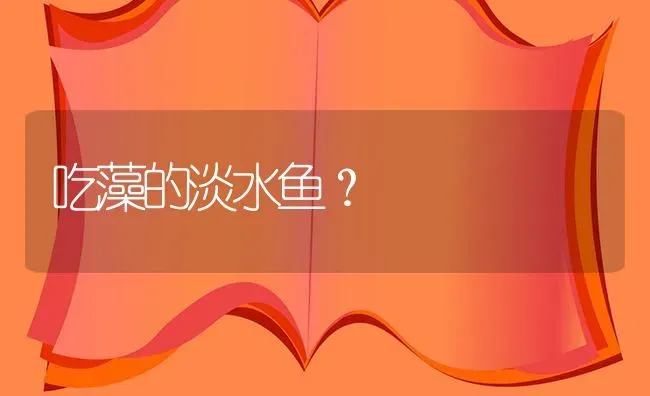 吃藻的淡水鱼？ | 鱼类宠物饲养