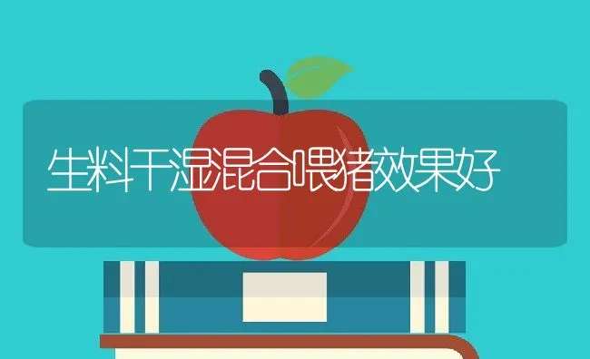 生料干湿混合喂猪效果好 | 动物养殖学堂