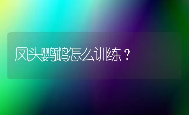 凤头鹦鹉怎么训练？ | 动物养殖问答