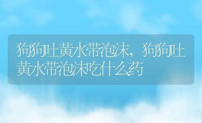 狗狗吐黄水带泡沫,狗狗吐黄水带泡沫吃什么药 | 宠物百科知识