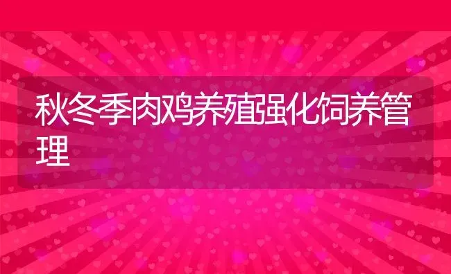 秋冬季肉鸡养殖强化饲养管理 | 动物养殖教程