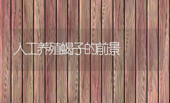 人工养殖蝎子的前景 | 动物养殖学堂