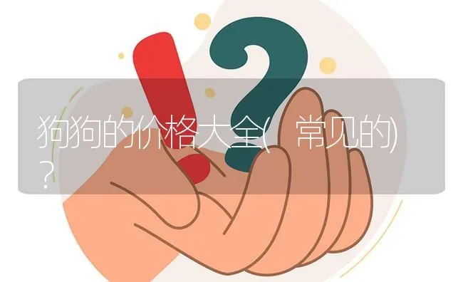 狗狗的价格大全(常见的)？ | 动物养殖问答