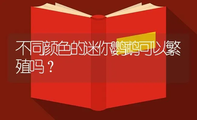 不同颜色的迷你鹦鹉可以繁殖吗？ | 鱼类宠物饲养