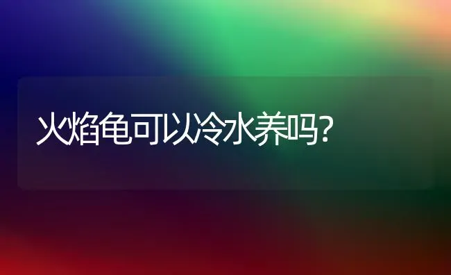 火焰龟可以冷水养吗？ | 动物养殖问答