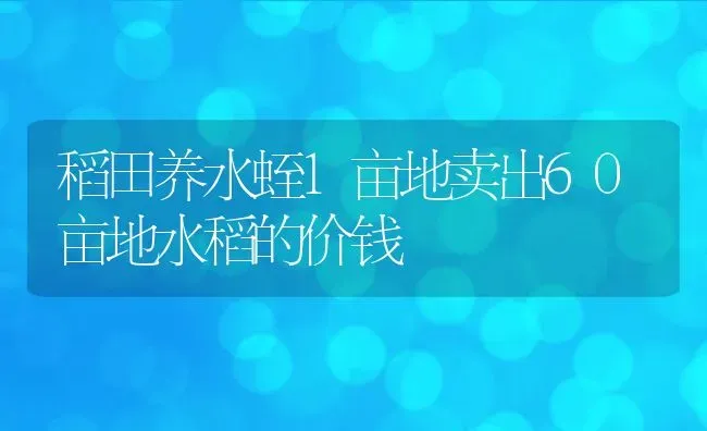 稻田养水蛭1亩地卖出60亩地水稻的价钱 | 动物养殖百科
