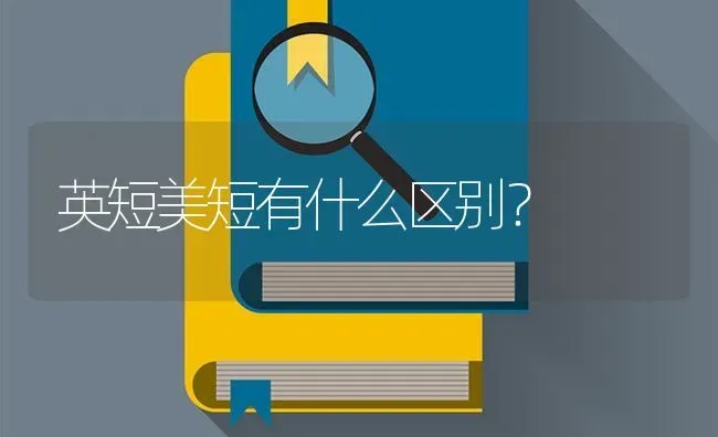 英短美短有什么区别？ | 动物养殖问答