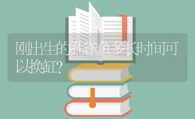 刚出生的孔雀鱼多长时间可以换缸？ | 鱼类宠物饲养