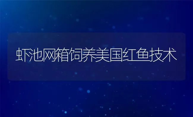 虾池网箱饲养美国红鱼技术 | 动物养殖饲料